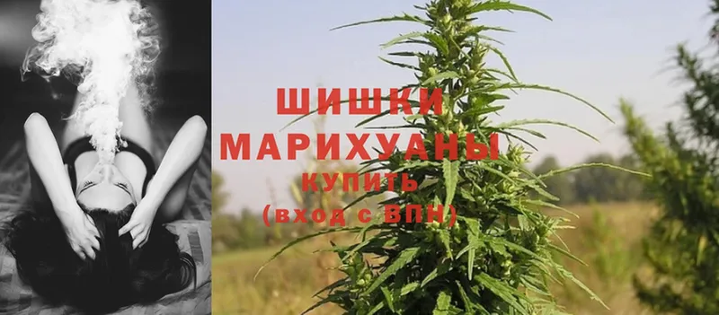 продажа наркотиков  Солигалич  Шишки марихуана OG Kush 